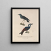 Voyage autour du monde Pl122 - Louis-Isidore Duperrey — gerahmtes Bild an der Wand