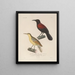 Voyage autour du monde Pl127 - Louis-Isidore Duperrey — gerahmtes Bild an der Wand