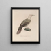 Reise um die Welt Pl128 - Louis-Isidore Duperrey — gerahmtes Bild an der Wand