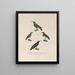 Reise um die Welt Pl134 - Louis-Isidore Duperrey — gerahmtes Bild an der Wand