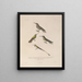 Reise um die Welt Pl135 - Louis-Isidore Duperrey — gerahmtes Bild an der Wand