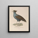 Reise um die Welt Pl142 - Louis-Isidore Duperrey — gerahmtes Bild an der Wand