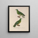Reise um die Welt Pl148 - Louis-Isidore Duperrey — gerahmtes Bild an der Wand