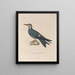 Reise um die Welt Pl153 - Louis-Isidore Duperrey — gerahmtes Bild an der Wand