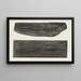 Recherches sur les poissons fossiles Pl050 - Louis Agassiz — framed artwork on a wall