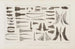 Recherches sur les poissons fossiles Pl069 - Louis Agassiz — artwork view