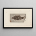 Ricerche sui pesci fossili Pl076 - Louis Agassiz — quadro incorniciato alla parete