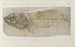 Recherches sur les poissons fossiles Pl091 - Louis Agassiz — artwork view