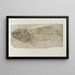 Recherches sur les poissons fossiles Pl091 - Louis Agassiz — framed artwork on a wall