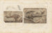 Recherches sur les poissons fossiles Pl116 - Louis Agassiz — artwork view