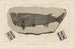 Recherches sur les poissons fossiles Pl119 - Louis Agassiz — artwork view