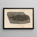 Recherches sur les poissons fossiles Pl142 - Louis Agassiz — framed artwork on a wall