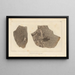 Recherches sur les poissons fossiles Pl. 182 - Louis Agassiz — framed artwork on a wall