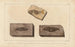 Recherches sur les poissons fossiles Pl205 - Louis Agassiz — artwork view