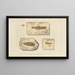 Recherches sur les Poissons Fossiles Pl207 - Louis Agassiz — framed artwork on a wall