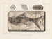 Recherches sur les poissons fossiles - Louis Agassiz — Ansicht des Kunstwerks