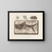 Recherches sur les poissons fossiles - Louis Agassiz — gerahmtes Bild an der Wand