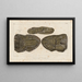 Recherches sur les poissons fossiles, Pl229 - Louis Agassiz — framed artwork on a wall