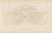 Recherches sur les poissons fossiles Pl230 - Louis Agassiz — artwork view