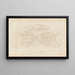 Recherches sur les poissons fossiles Pl230 - Louis Agassiz — framed artwork on a wall