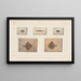 Recherches sur les poissons fossiles Pl251 - Louis Agassiz — framed artwork on a wall