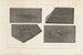 Recherches sur les poissons fossiles Pl252 - Louis Agassiz — artwork view