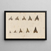 Recherches sur les poissons fossiles Pl314 - Louis Agassiz — framed artwork on a wall