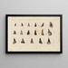 Recherches sur les poissons fossiles Pl317 - Louis Agassiz — framed artwork on a wall