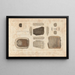 Recherches sur les poissons fossiles Pl334 - Louis Agassiz — framed artwork on a wall
