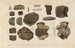 Recherches sur les poissons fossiles Pl335 - Louis Agassiz — artwork view