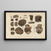 Recherches sur les poissons fossiles Pl335 - Louis Agassiz — framed artwork on a wall
