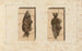 Recherches sur les poissons fossiles Pl. 395 - Louis Agassiz — artwork view