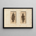 Recherches sur les poissons fossiles Pl. 395 - Louis Agassiz — framed artwork on a wall