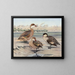 Paperotto delle Bahamas, paperotto delle Isole Galápagos, paperotto africano a becco rosso - Louis Agassiz Fuertes — quadro incorniciato alla parete
