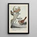 Sweet Voice le Bruant des prés Little Friend le Bruant chanteur - Louis Agassiz Fuertes — gerahmtes Bild an der Wand