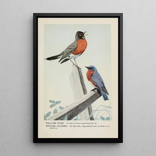 Louis Agassiz Fuertes - Welcome Robin Winsome Bluebird.webp
