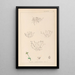 Herbier de la flore française Pl0002 - Louis Antoine Cusin — quadro incorniciato alla parete