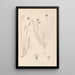 Herbier de la flore française Pl0020 - Louis Antoine Cusin — quadro incorniciato alla parete