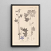 Herbier de la flore française Pl0046 - Louis Antoine Cusin — quadro incorniciato alla parete