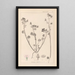 Herbier de la flore française Pl0054 - Louis Antoine Cusin — quadro incorniciato alla parete