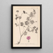Herbier de la flore française Pl0068 - Louis Antoine Cusin — quadro incorniciato alla parete