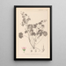 Herbier de la flore française Pl0074 - Louis Antoine Cusin — quadro incorniciato alla parete