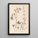Herbier de la flore française Pl0075 - Louis Antoine Cusin — quadro incorniciato alla parete
