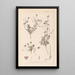 Herbier de la flore française Pl0085 - Louis Antoine Cusin — quadro incorniciato alla parete