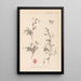Herbier de la flore française Pl0093 - Louis Antoine Cusin — quadro incorniciato alla parete