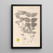 Herbier de la flore française Pl0117 - Louis Antoine Cusin — quadro incorniciato alla parete