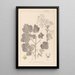 Herbier de la flore française Pl0120 - Louis Antoine Cusin — gerahmtes Bild an der Wand