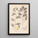 Herbier de la flore française Pl0127 - Louis Antoine Cusin — quadro incorniciato alla parete