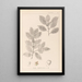 Herbier de la flore française Pl0144 - Louis Antoine Cusin — quadro incorniciato alla parete