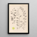 Herbier de la flore française Pl0146 - Louis Antoine Cusin — gerahmtes Bild an der Wand